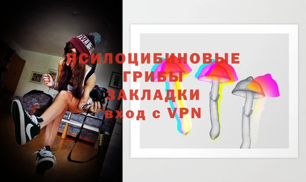 ALPHA PVP Верея