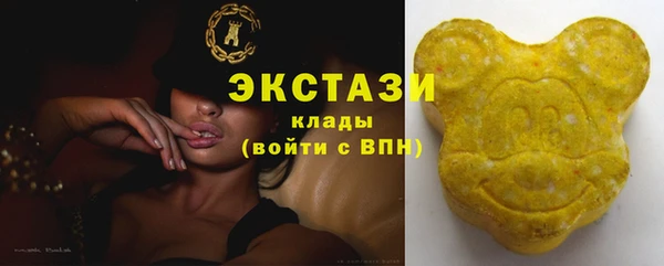 дживик Бронницы