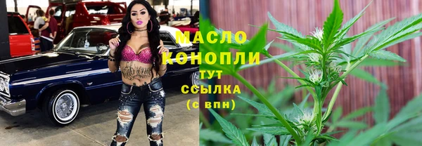 дживик Бронницы